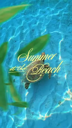 Summer Vlog
