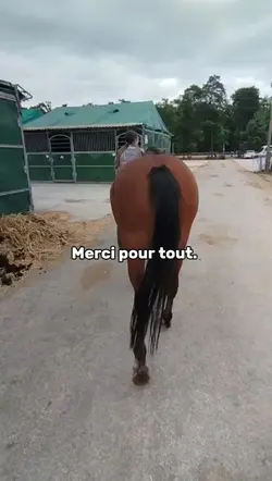 Merci pour tout.