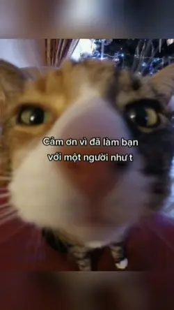 nhap 1 anh