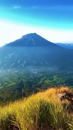 setiap situasi