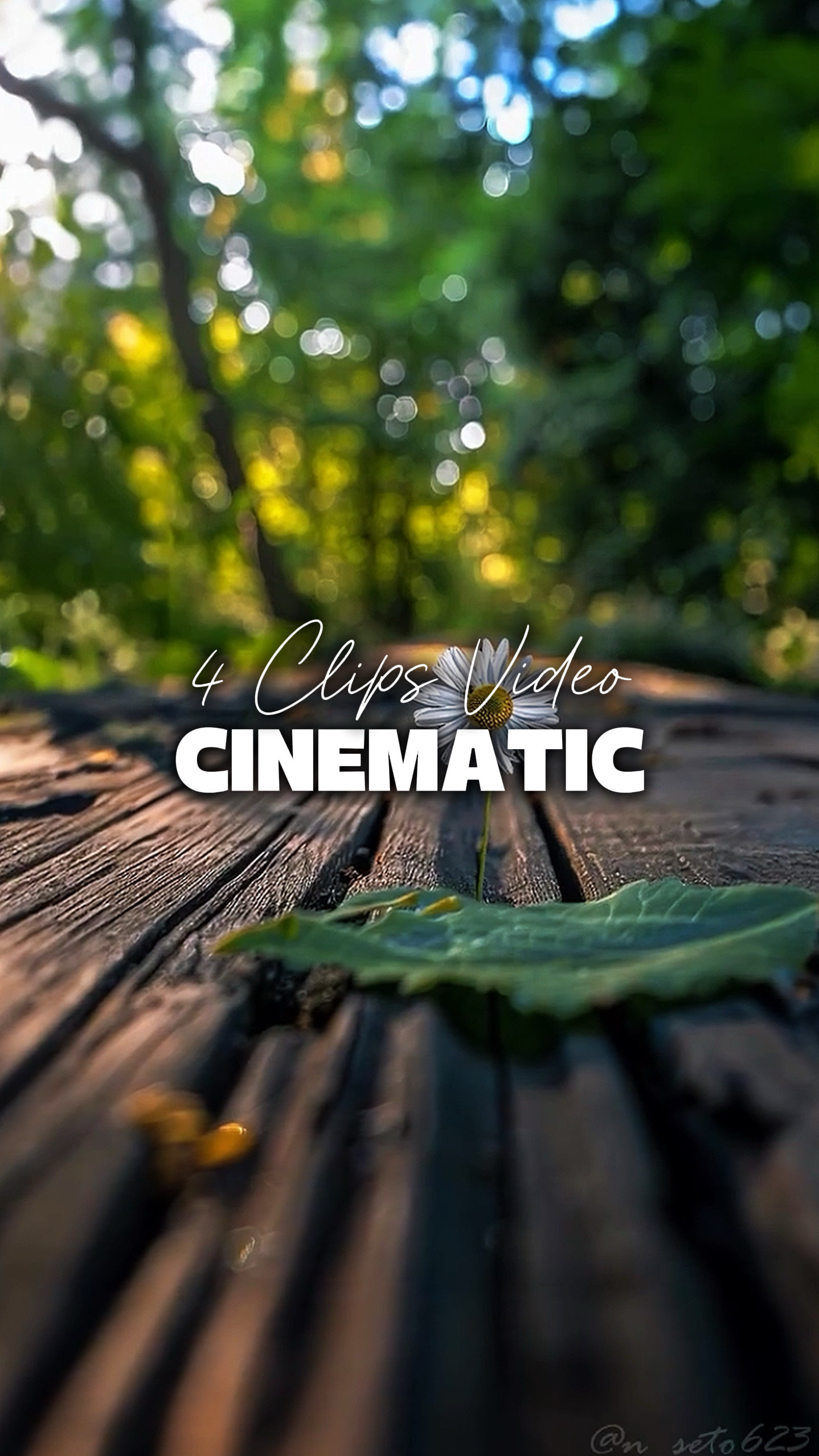4 Videos Cinematic 
