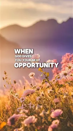Newt opportunity 