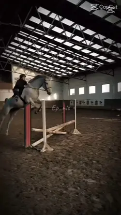 free tło dla koniary