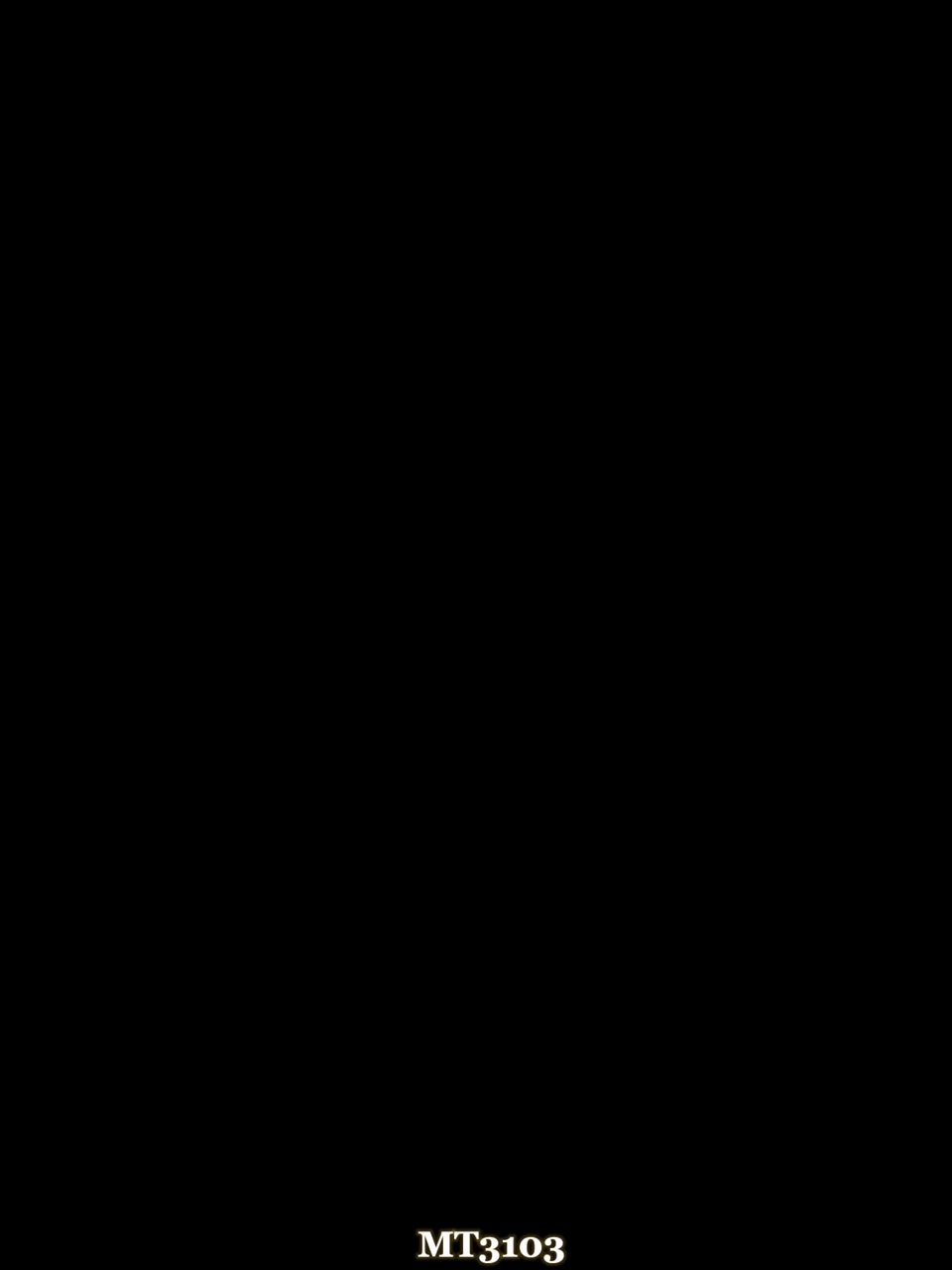 MeAndMyCamera 