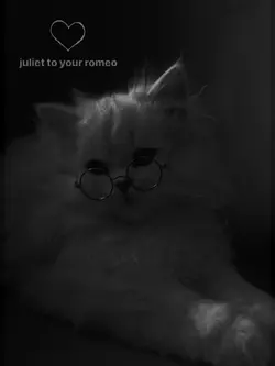 Juliet tô your romeo