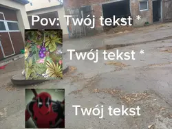 Dla twórców