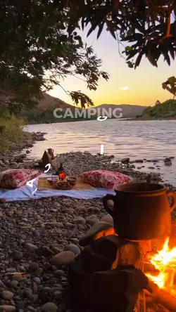camping life videos