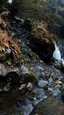 12 video or photo