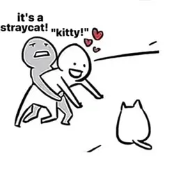 Kitty edit