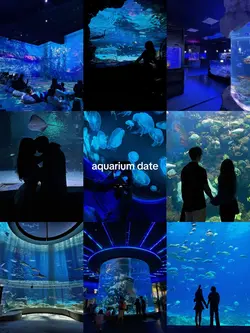 aquarium date