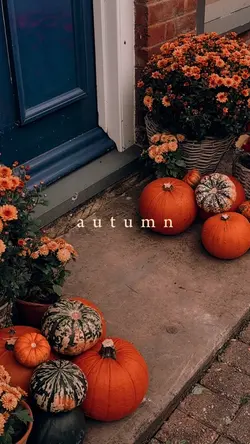 autumn fall filter 🍂