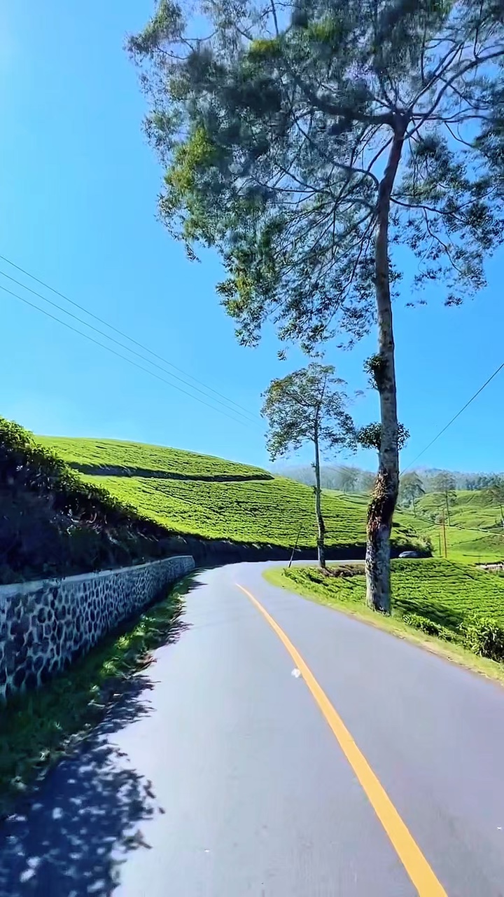 4 video roadtrip