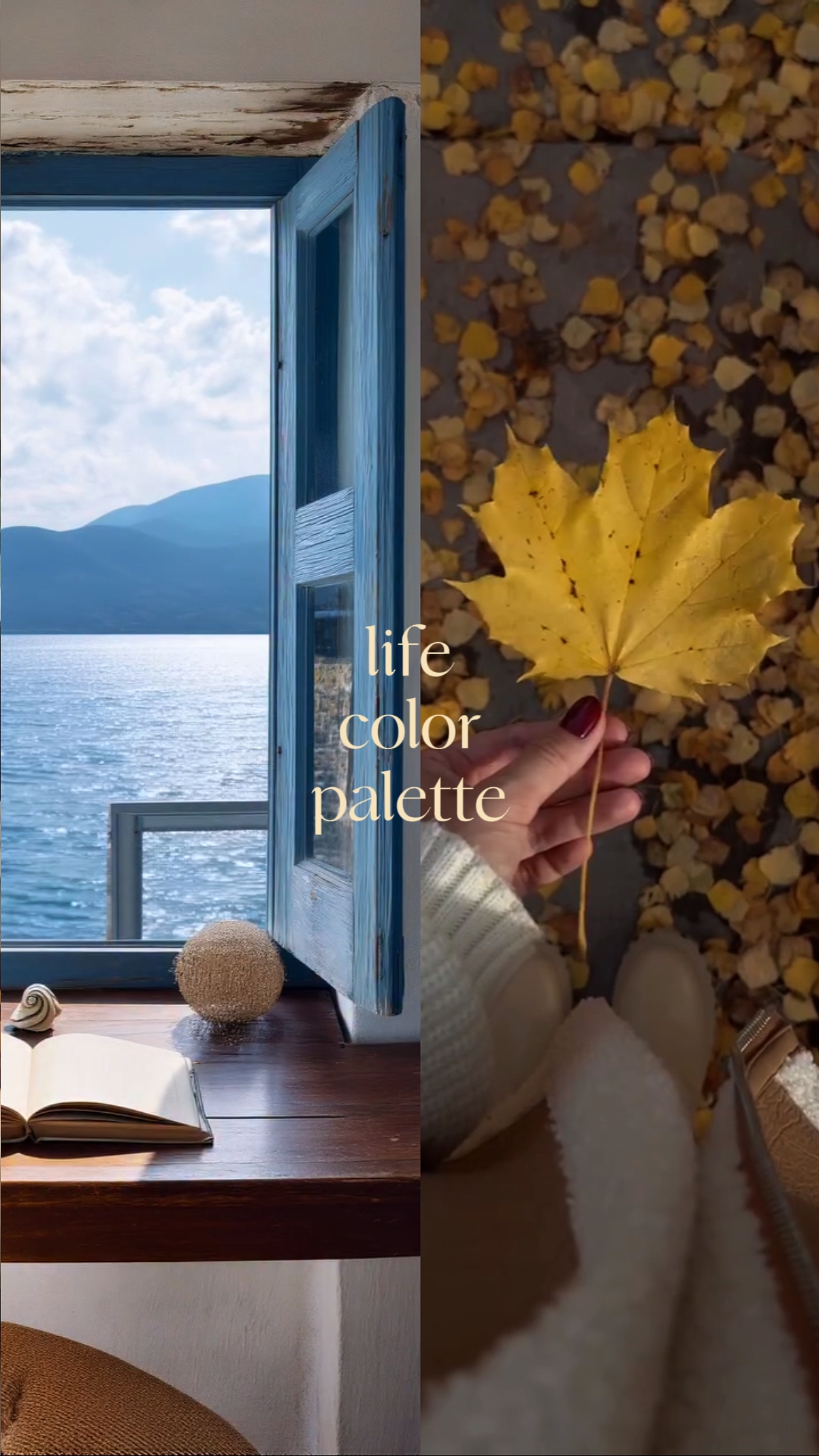 palette de couleurs de la vie