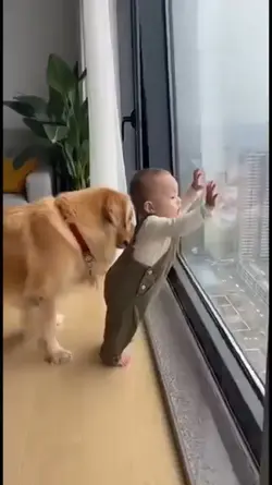 Dog Saves Baby