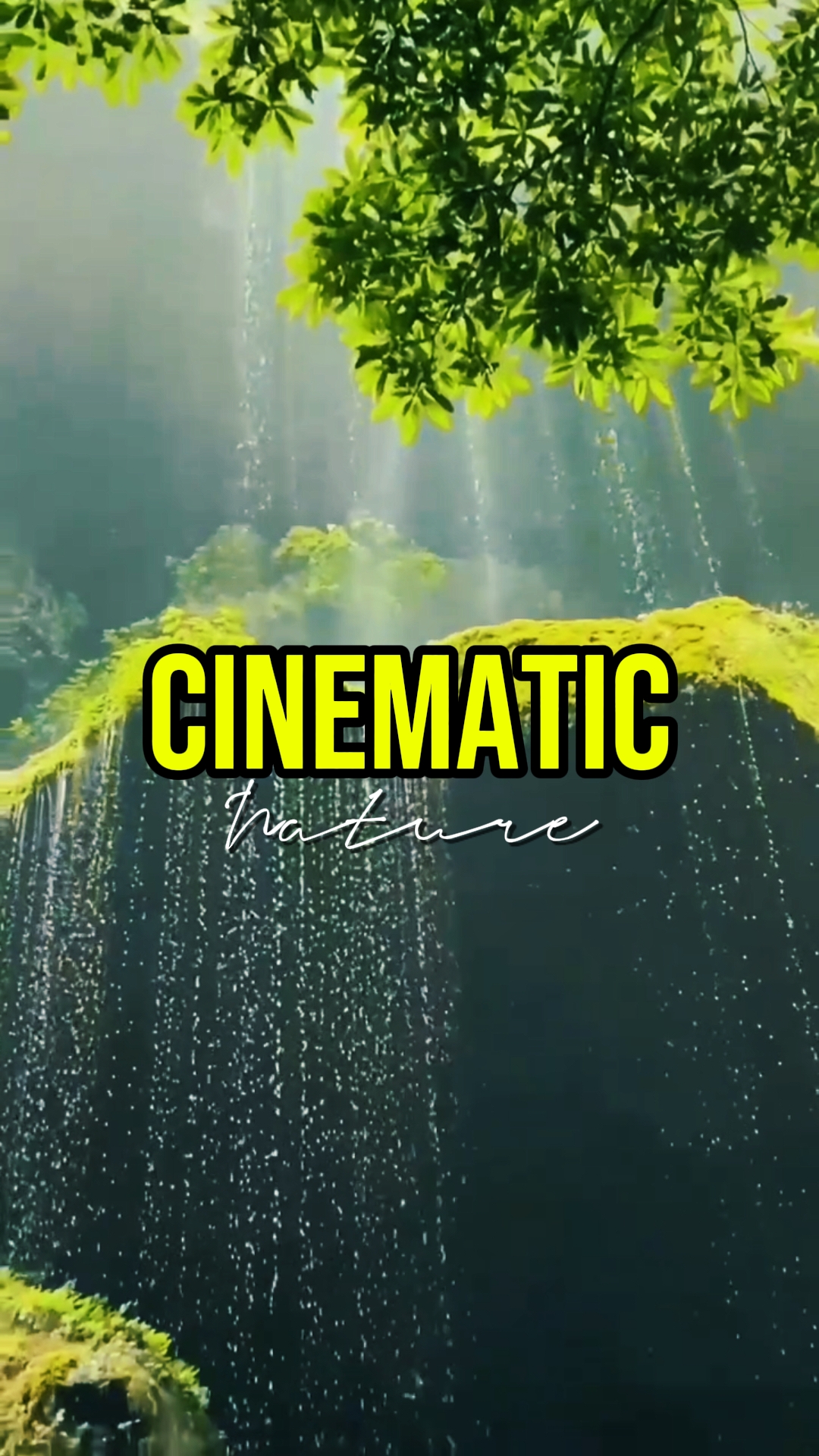 CINEMATIC NATURE