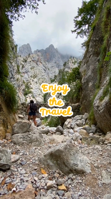 Disfruta el viaje