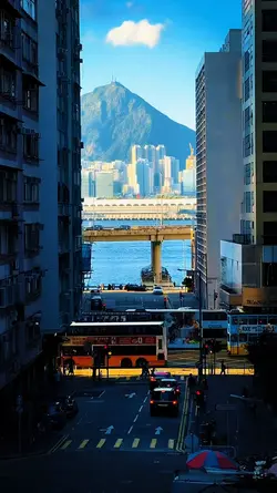 Japan Vibes