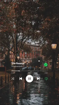 The Reason