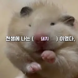 전생에 나는 ?