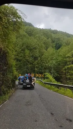 jurasicpark