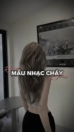 Mẫu 2 ảnh cháy