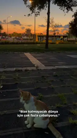 Çok çabalıyoruz 