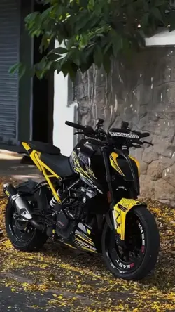 ktm lover 