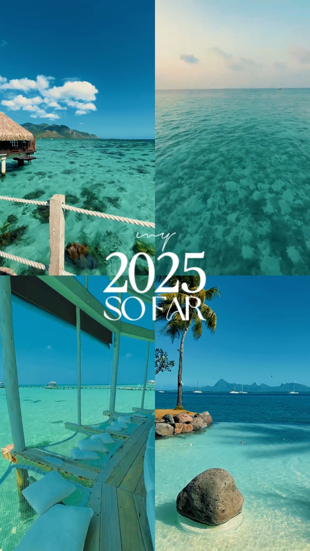 my 2025