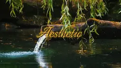 Cinematic Aesthetic