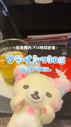 フライトvlogテンプレ