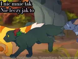Jesteś tu