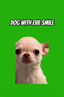 DOG WITH EVIL SMILE