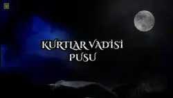 KURTLAR VADİSİ PUSU