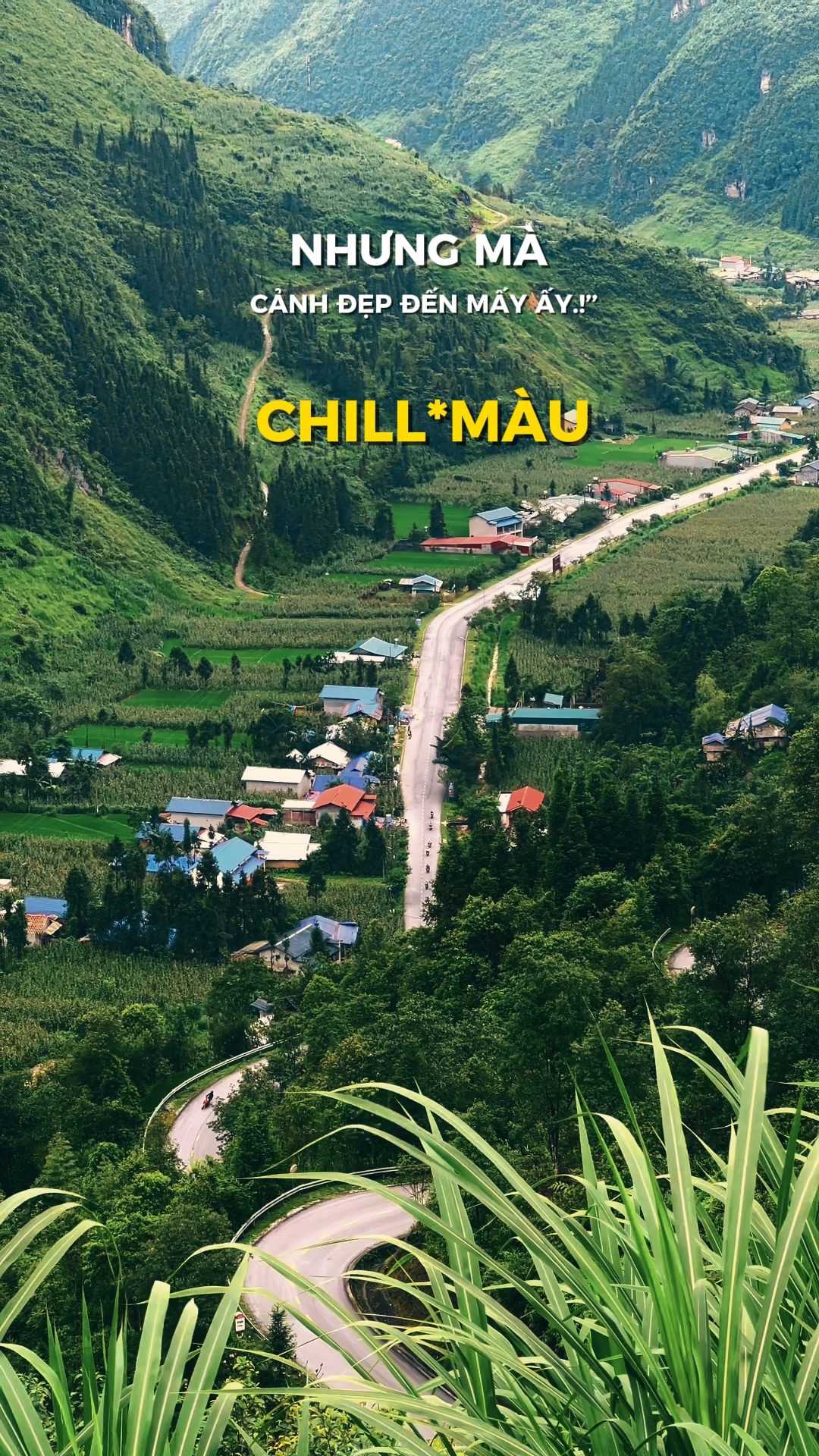 Nhưng mà cảnh đp.. |