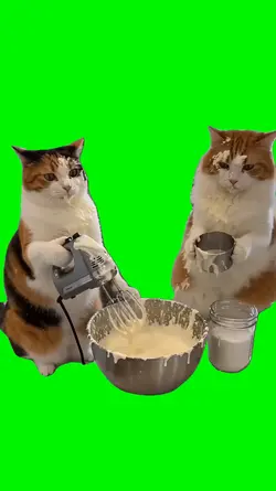 Baking Cats