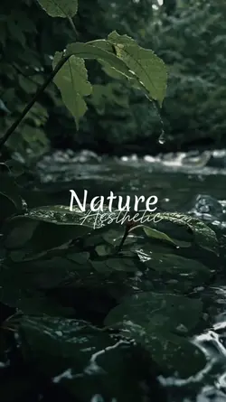 aesthetic nature