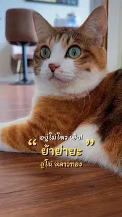 อยู่ไม่ไหวๆ