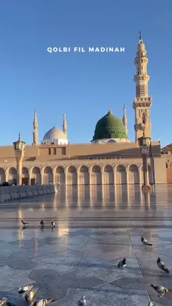 QALBI FI MADINA