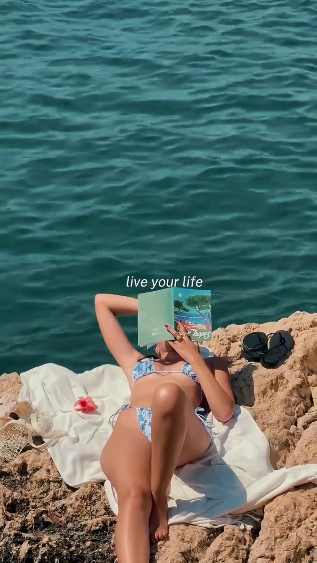 vis ta vie