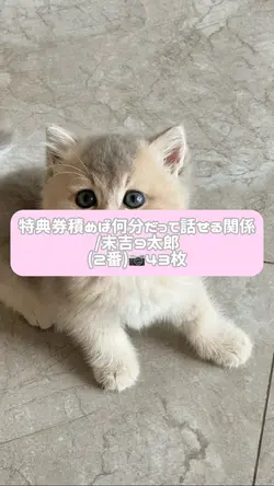 特典券積めば何分だって話せる関係