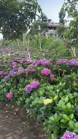 Subhanallahi Maulana