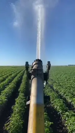 Water Sprinkler