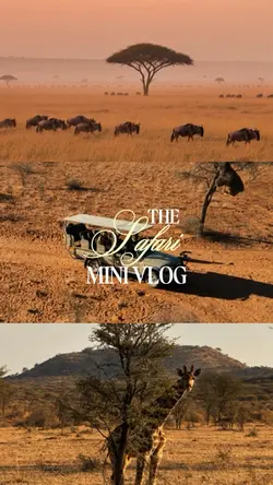 Safari mini vlog