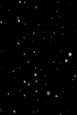 クリスマス