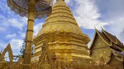 ตามจังหวะ