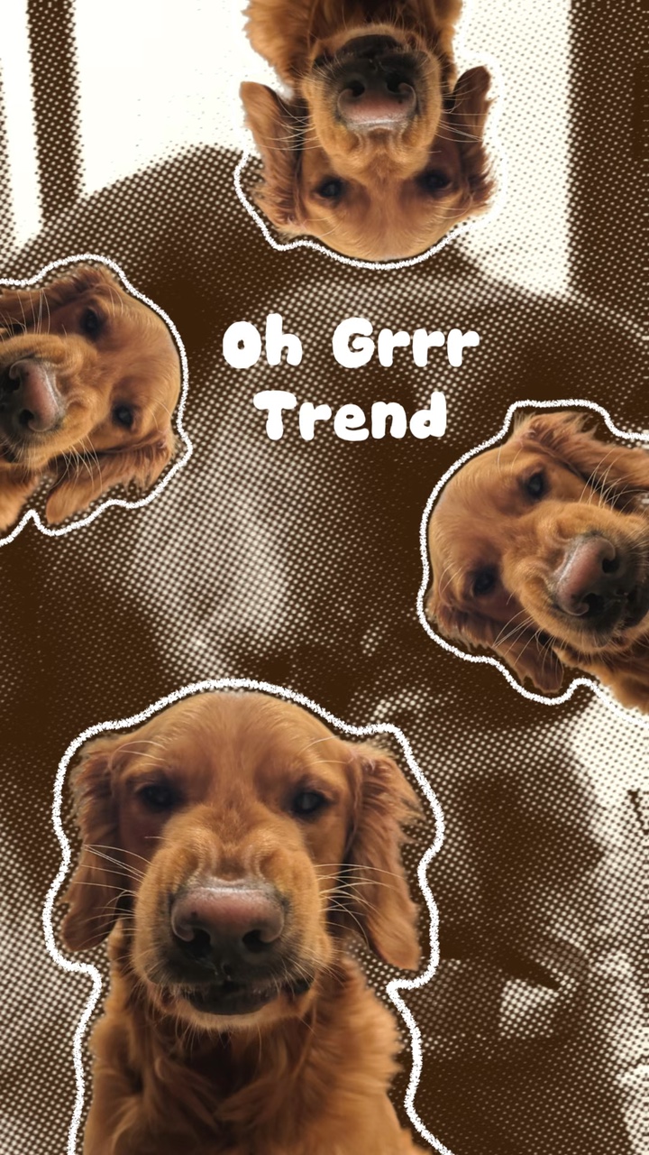 Mascota Oh Grrr Tendencia