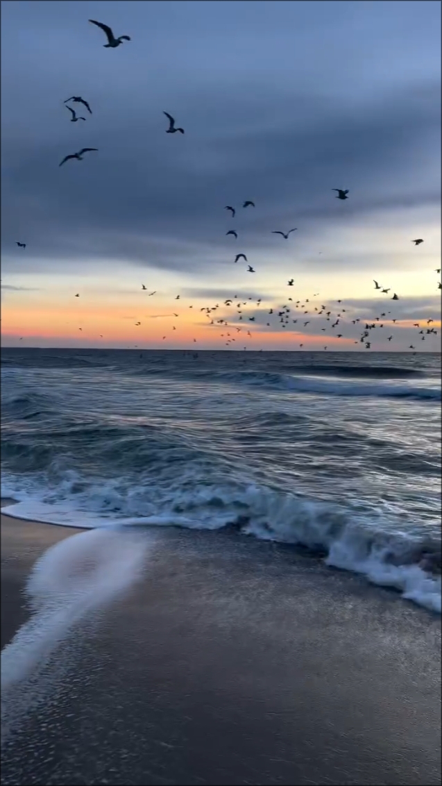 VIT SEA