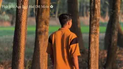 cinematic video
