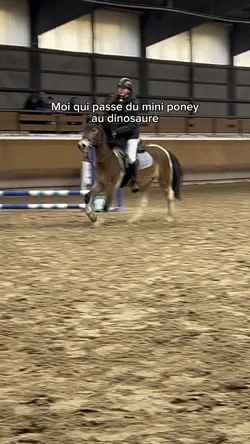 Mini poney dinosaure