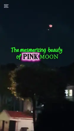 Pink Moon